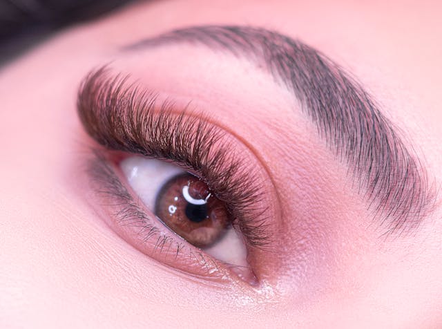 Eyebrow transplant procedure
