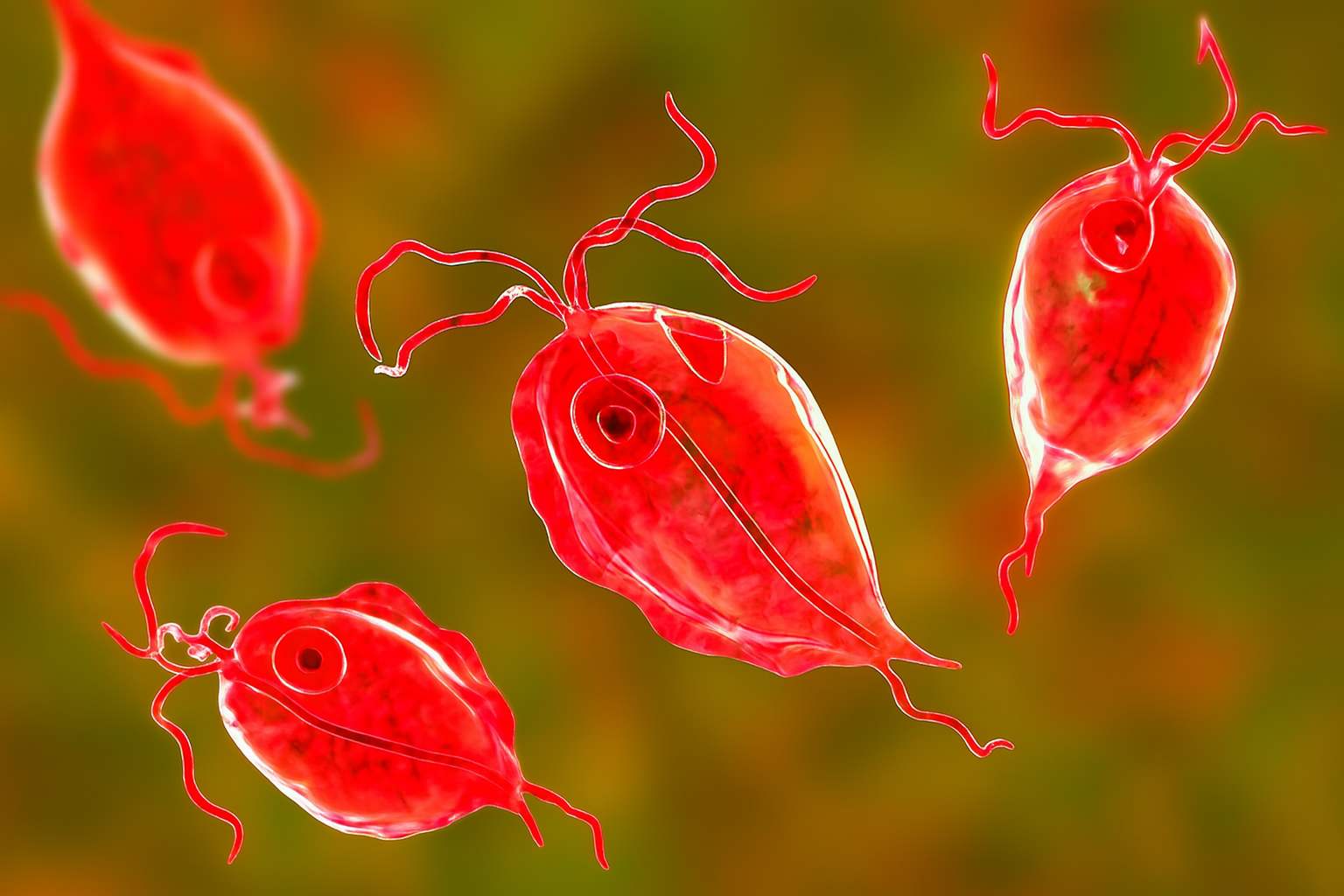 Препоръки по време на лечението: