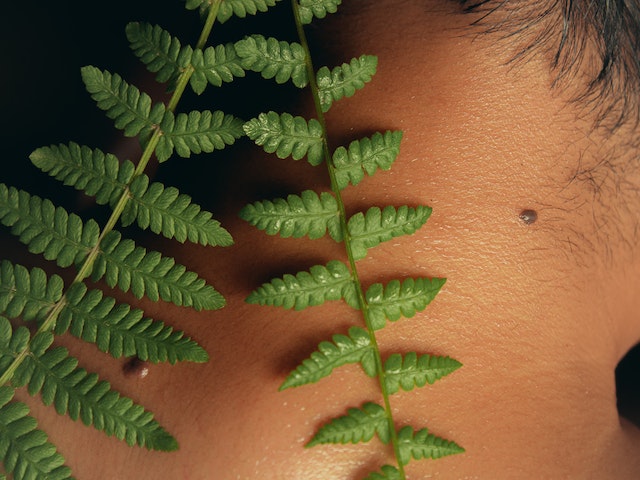 Removal of skin fibromas by a specialist